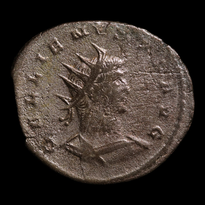 Rome, Emperor Gallienus, AR Antoninianus, Soldier Reverse - 260 to 268 CE - Roman Empire