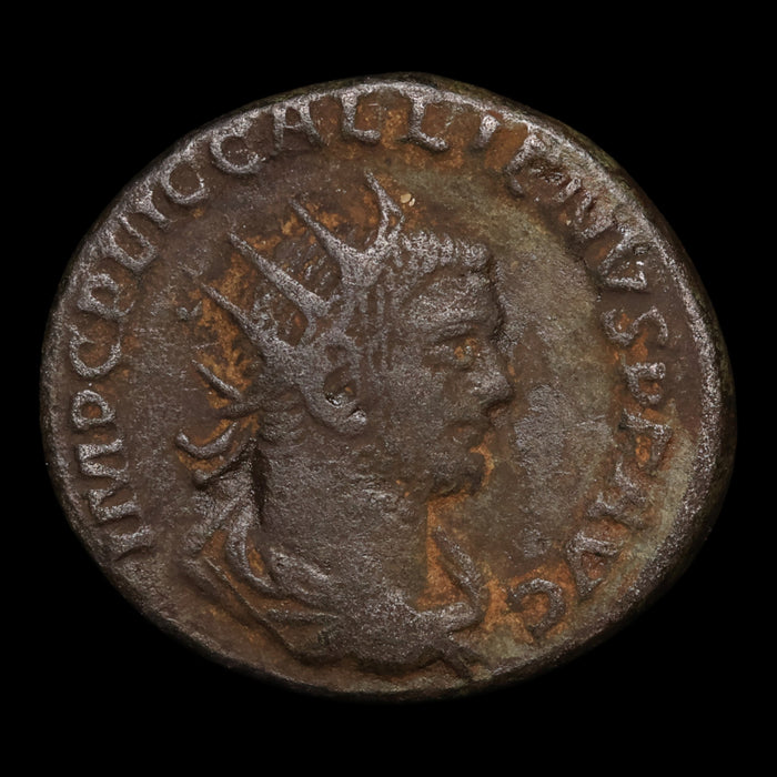 Rome, Emperor Gallienus, BI Antoninianus, Gallienus & Valerian Reverse - 255 to 256 CE - Roman Empire