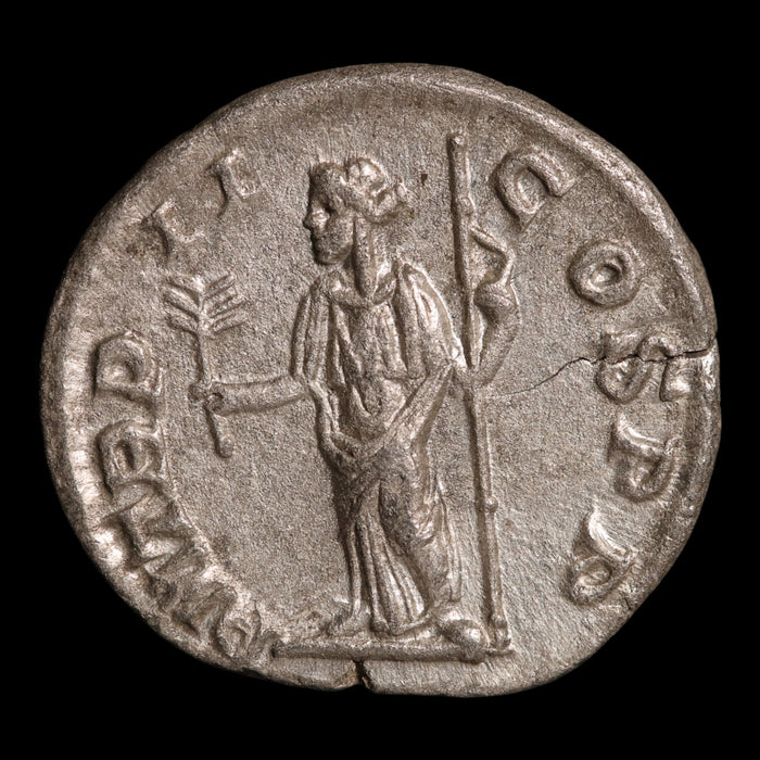 Rome, Emperor Severus Alexander, AR Denarius, Pax (Goddess of Peace) - 223 CE - Roman Empire