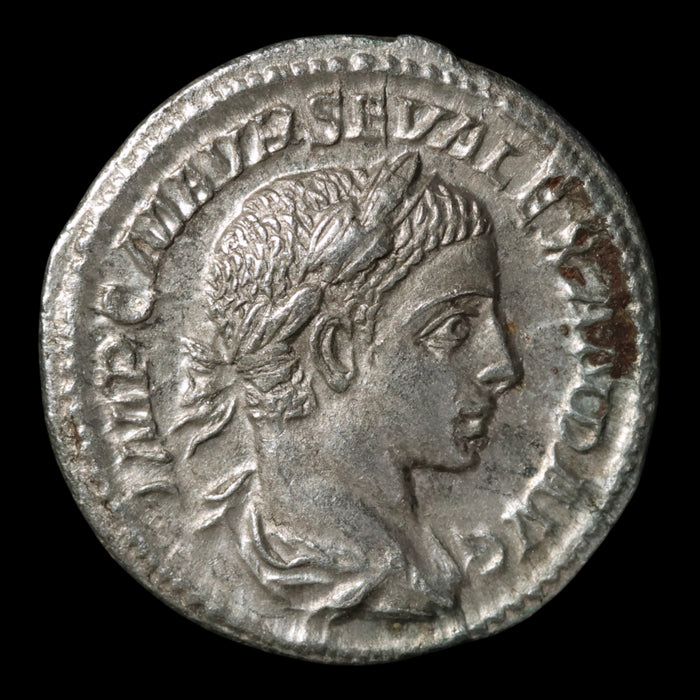 Rome, Emperor Severus Alexander, Denarius, Salus (Goddess of Safety) - 224 CE - Roman Empire