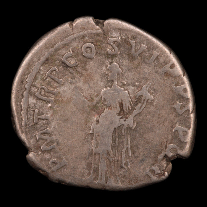 Rome, Emperor Trajan, Denarius, Felicitas Reverse - 114 to 117 CE - Roman Empire
