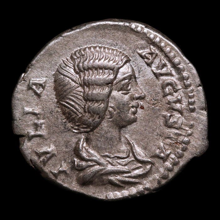 Rome, Empress Julia Domna, AR Denarius, Pietas (Faith & Devotion) - 196 to 211 CE - Roman Empire