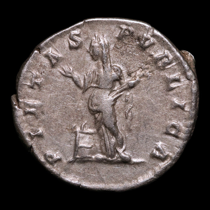 Rome, Empress Julia Domna, AR Denarius, Pietas (Faith & Devotion) - 196 to 211 CE - Roman Empire