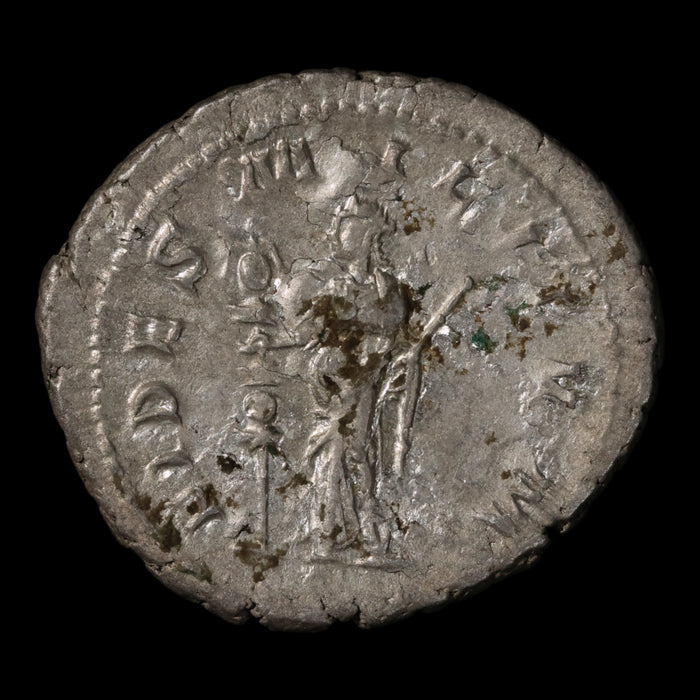 Rome, Gordian III, Antoninianus, Fides (Goddess of Trust) - 240 CE - Roman Empire