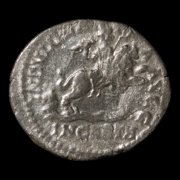 Rome, Septimius Severus, Denarius, Carthage Reverse - 202 to 210 CE - Roman Empire
