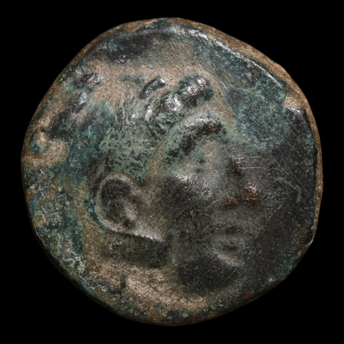 Seleucid Empire, King Seleucus II, AE Unit, Heracles & Apollo - 246 to 242 BCE - Seleucid Empire
