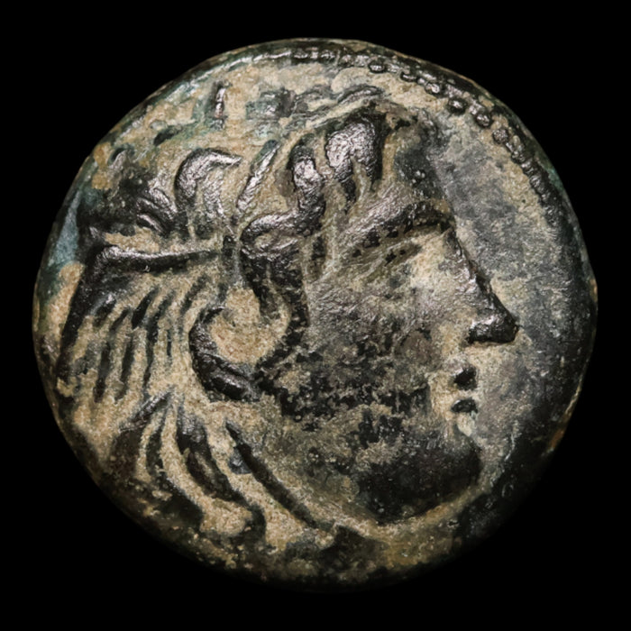 Seleucid Empire, Seleucus I Nicator, AE Unit, Medusa & Lion - c. 300 to 281 BCE - Greek World