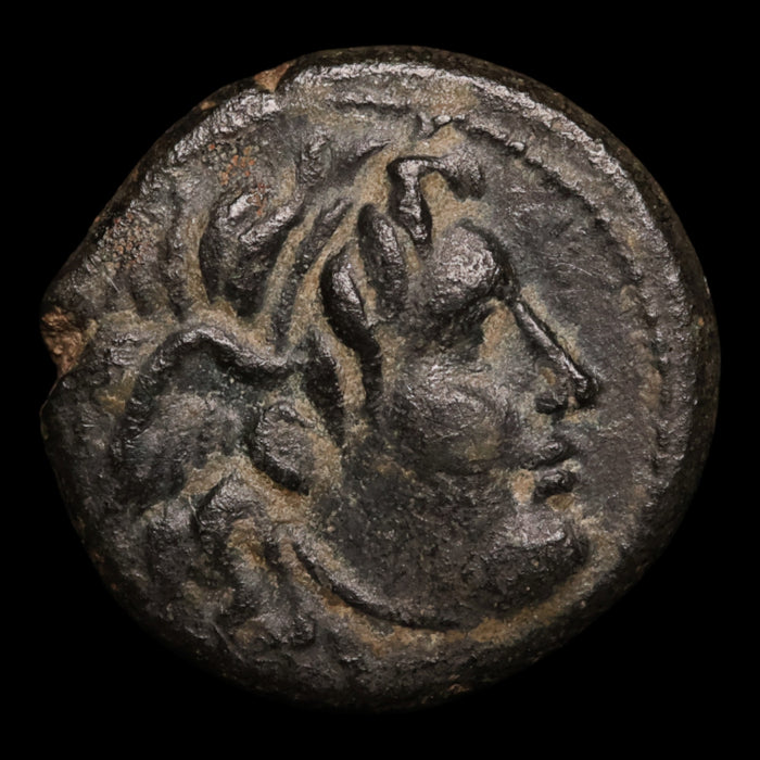 Seleucid Empire, Seleucus I Nicator, AE Unit, Medusa & Lion - c. 300 to 281 BCE - Greek World