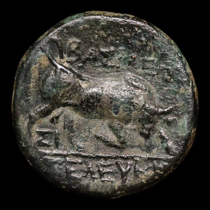 Seleucid Empire, Seleucus I Nicator, AE Unit, Medusa & Lion - c. 300 to 281 BCE - Greek World