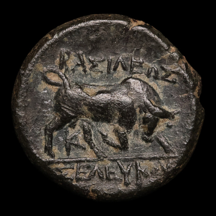 Seleucid Empire, Seleucus I Nicator, AE Unit, Medusa & Lion - c. 300 to 281 BCE - Greek World