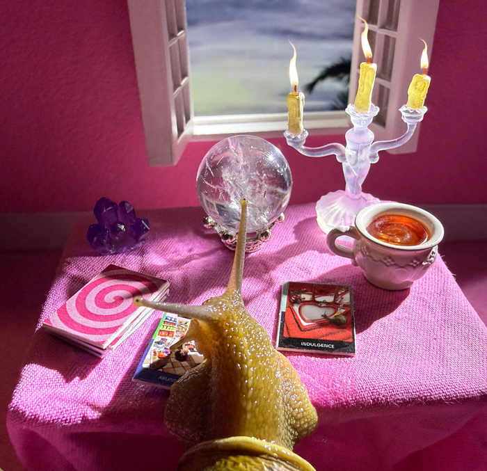 The Snail Oracle