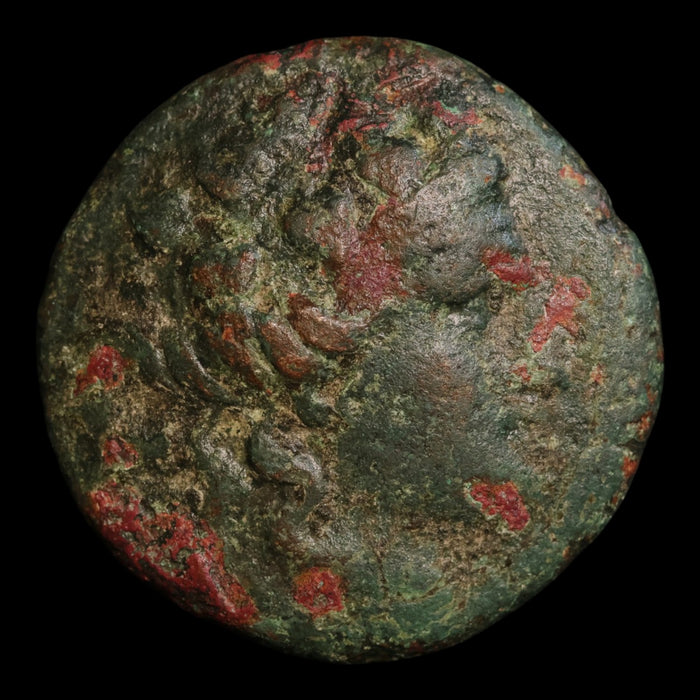 Thrace, City of Maroneia, AE Unit, Dionysus (God of Wine) - c. 200 to 100 BCE - Greek World