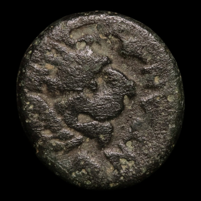 reverse