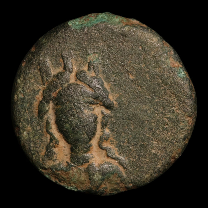 Troas, City of Abydos, AE Unit, Artemis (Goddess of the Hunt) - c. 320 to 200 BCE - Greek World