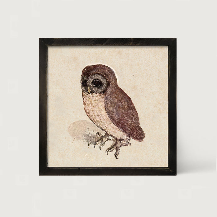 Vintage owl - Framed art