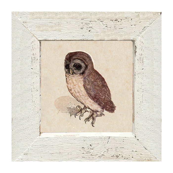 Vintage owl - Framed art