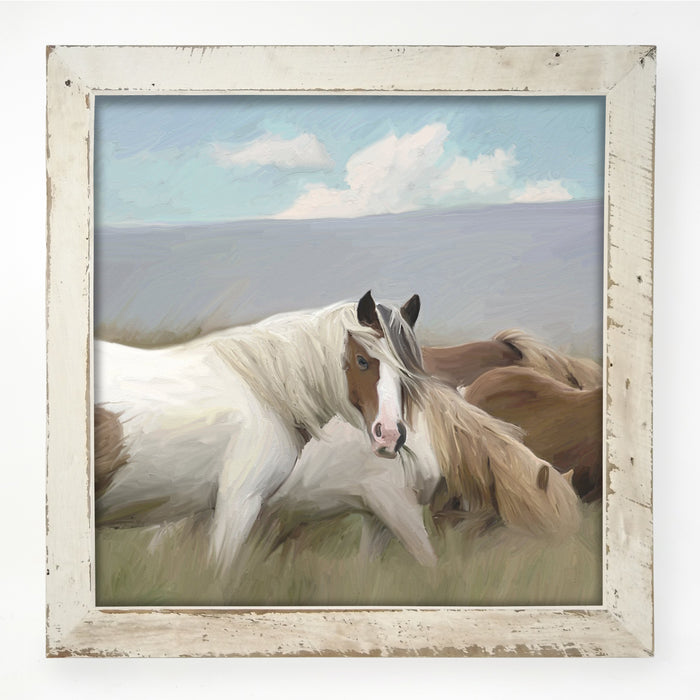 Wild Horses
