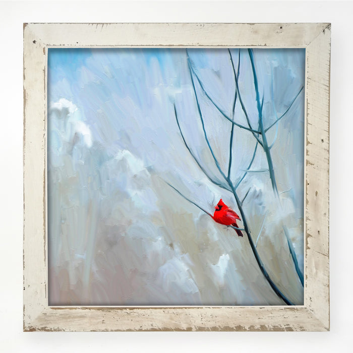 Winter Cardinal